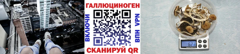 купить наркоту  Дербент  Галлюциногенные грибы ЛСД 