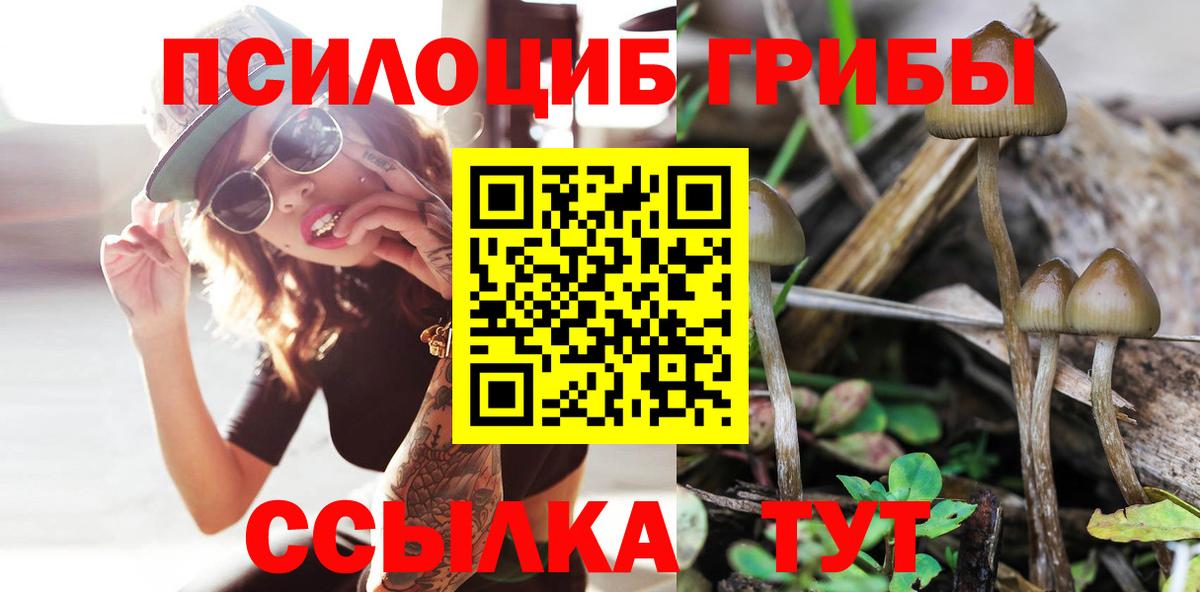 Псилоцибиновые грибы Magic Shrooms  Дербент 
