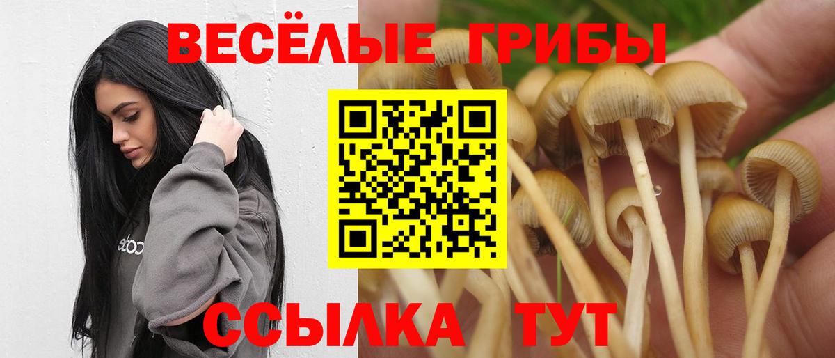 Галлюциногенные грибы мицелий Дербент