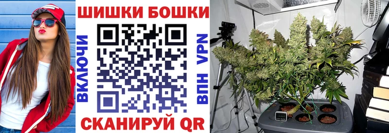 Шишки марихуана конопля  Дербент 